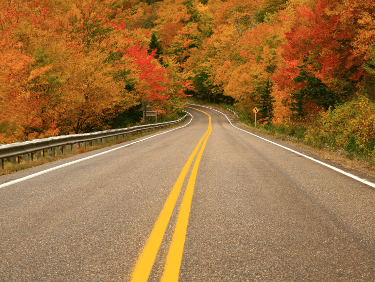 road leading into fall forest